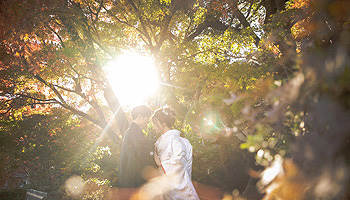 浜松で秋におすすめ結婚式前撮りロケーション撮影