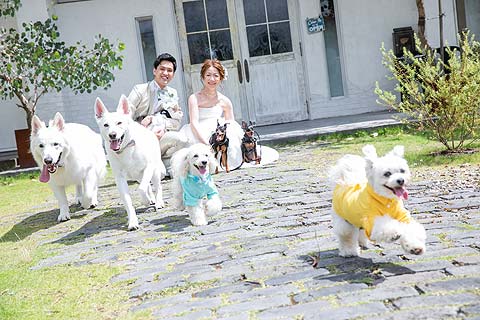 浜松 結婚式前撮り シアスタイル ペットも喜ぶガーデンウエディング撮影