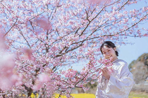 浜松 結婚式前撮り シアスタイル 浜松 結婚式前撮り シアスタイル 季節を感じる桜フォト