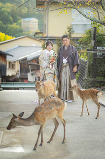 宮島で美しいウエディングフォト撮影07