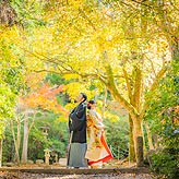 宮島フォトウエディング写真No.033