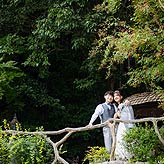 ぬくもりの森フォトウエディング写真No.003