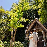 ぬくもりの森フォトウエディング写真No.021