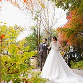 ぬくもりの森フォトウエディング写真No.036