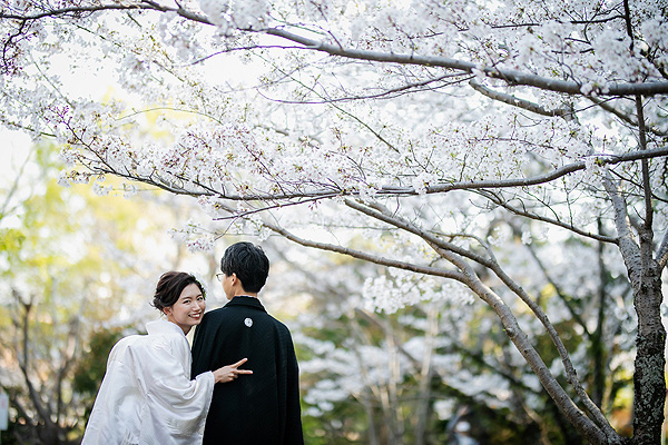 着物も映える浜松の桜ロケフォト