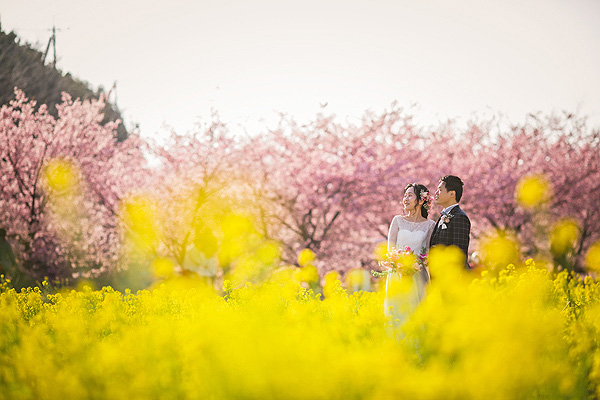 浜松 フォトウエディング シアスタイル ウエディングドレスで桜ロケーションフォト
