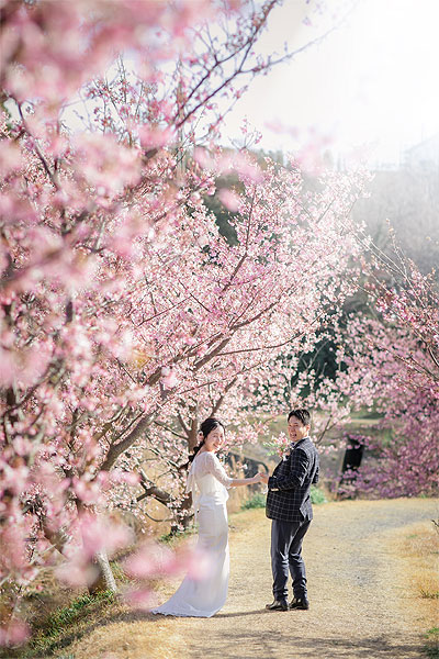 お得な洋装1着プラン