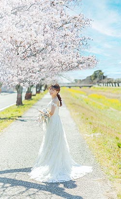 ✿ウェディングドレス✿Aライン 編み上げ 桜ドレス 前撮り