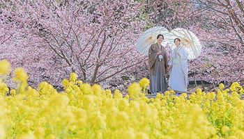 春の桜で結婚式の前撮りウエディングフォト撮影