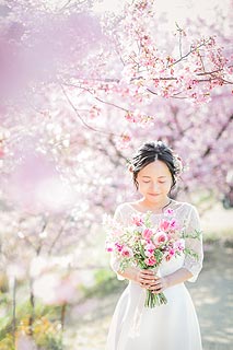 結婚式ロケーションフォト桜で前撮り撮影03