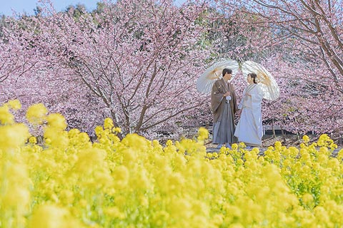 結婚式ロケーションフォト桜で前撮り撮影08