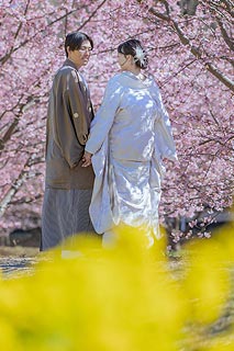 結婚式ロケーションフォト桜で前撮り撮影03