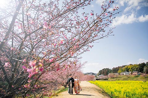 結婚式ロケーションフォト桜で前撮り撮影05