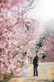 結婚式ロケーションフォト桜で前撮り撮影06