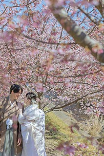 結婚式ロケーションフォト桜で前撮り撮影09