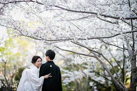 結婚式ロケーションフォト桜で前撮り撮影11