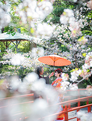 浜松 フォトウエディング シアスタイル 桜の写真が撮れるスタジオ