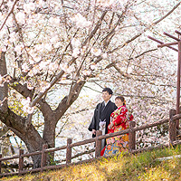 浜松 フォトウエディング シアスタイル 桜フォト和装前撮り 写真館の人気ポーズ