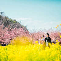 浜松 フォトウエディング シアスタイル 桜の結婚写真は公園での撮影もおすすめ