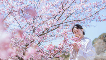 浜松 フォトウエディング シアスタイル 色打掛・紋付袴で桜フォトウエディング