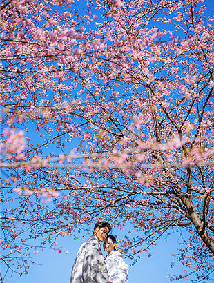 浜松 フォトウエディング シアスタイル 春におすすめ結婚式前撮りロケーション撮影