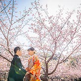 桜フォトウエディング写真No.007