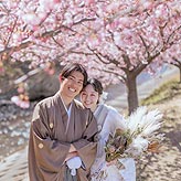 桜フォトウエディング写真No.015