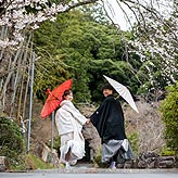 桜フォトウエディング写真No.018