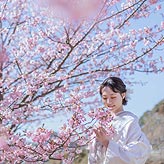 桜フォトウエディング写真No.024