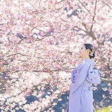 桜フォトウエディング写真No.027