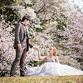 桜フォトウエディング写真No.028