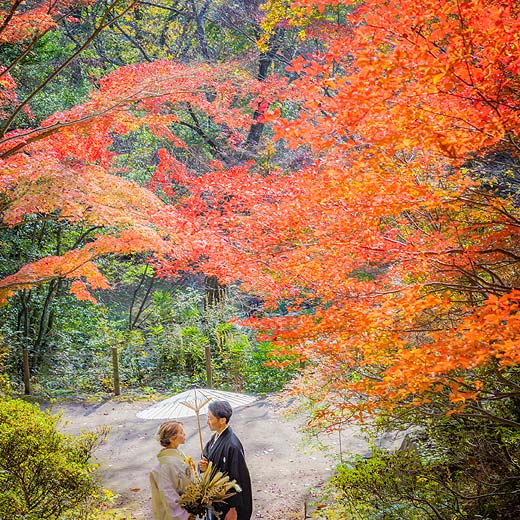 広島のロケフォト三景園ギャラリー06