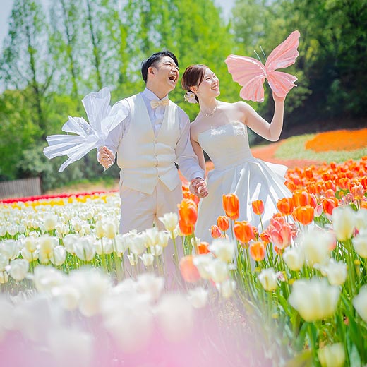 広島のロケフォト世羅高原農場ギャラリー01