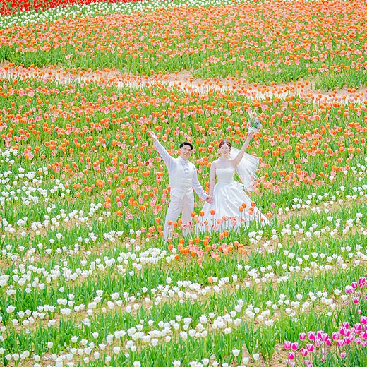 広島のロケフォト世羅高原農場ギャラリー06