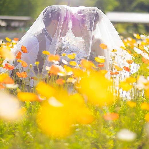 広島のロケフォト世羅高原農場ギャラリー11