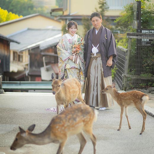 広島のロケフォト宮島ギャラリー09