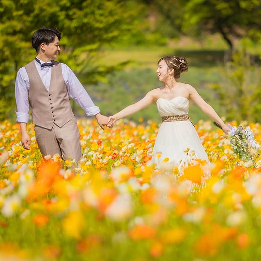 広島のロケフォト世羅高原農場ギャラリー10