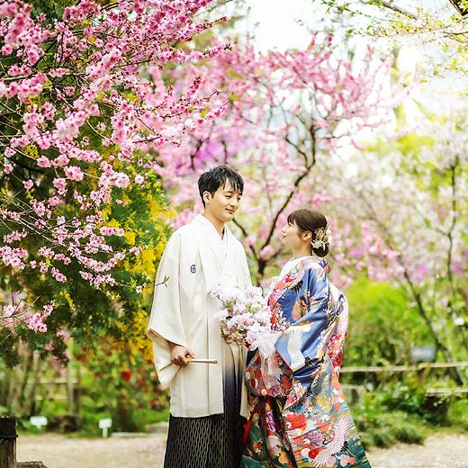 広島のロケフォト縮景園ギャラリー05