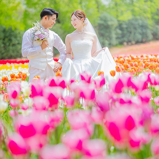 広島のロケフォト世羅高原農場ギャラリー04