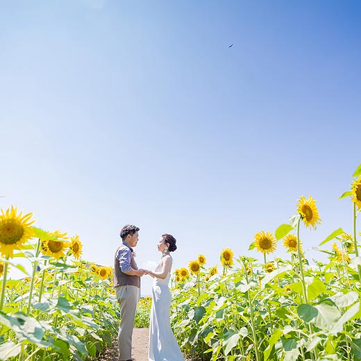 浜松のロケフォトガーデンパークギャラリー08