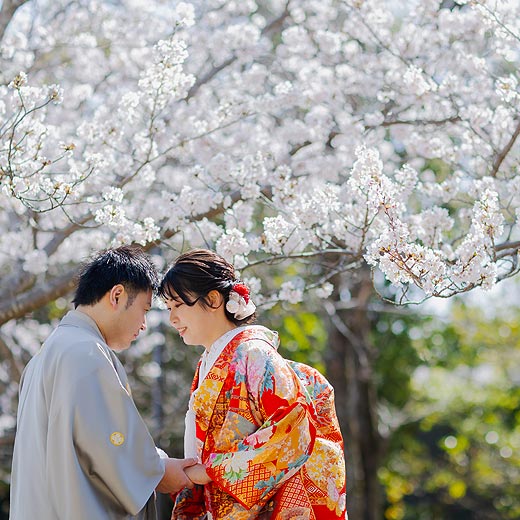 浜松のロケフォト浜松城公園ギャラリー05