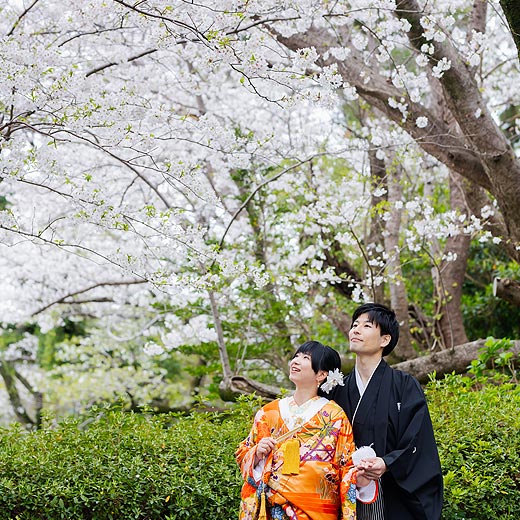 浜松のロケフォト浜松城公園ギャラリー07