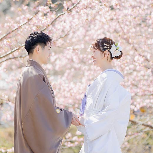 浜松のロケフォト東大山河津桜ギャラリー04