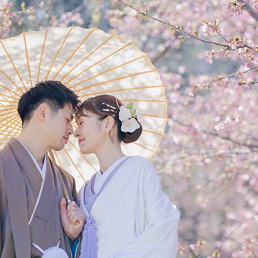 浜松のロケフォト東大山河津桜ギャラリー06