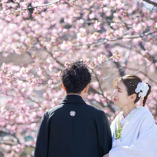 浜松のロケフォト東大山河津桜ギャラリー07