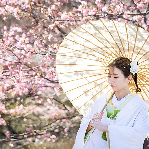 浜松のロケフォト東大山河津桜ギャラリー08