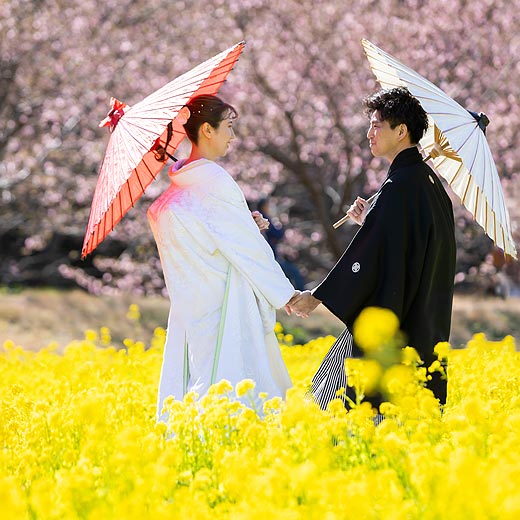 浜松のロケフォト東大山河津桜ギャラリー09