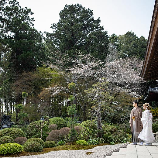 浜松のロケフォト龍潭寺ギャラリー01