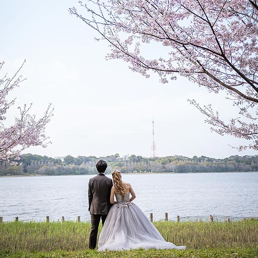 浜松のロケフォト佐鳴湖公園ギャラリー02