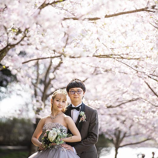 浜松のロケフォト佐鳴湖公園ギャラリー03